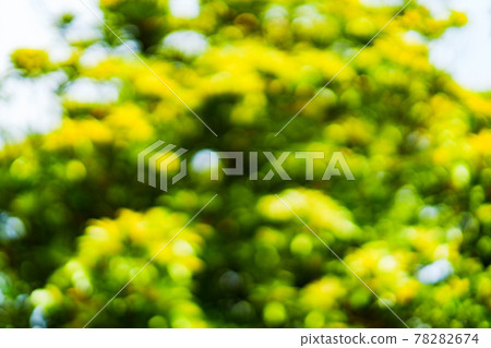 背景素材(敢轉移焦點,使焦點失焦) 背景素材(敢轉移焦點,使焦點失焦) 78282674