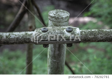 Fence with moss in the forest Fence with moss in the forest 78282781