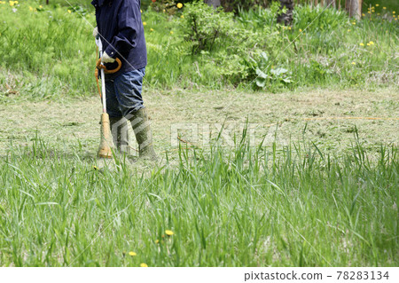 一位中年婦女用家用電動割草機割花園 78283134