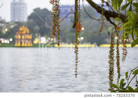 Turtle Tower, the symbol of Vietnam, at twilight period at Hoan Kiem lake (Ho Guom or Sword lake) Turtle Tower, the symbol of Vietnam, at twilight period at Hoan Kiem lake (Ho Guom or Sword lake) 78283370
