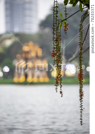 Turtle Tower, the symbol of Vietnam, at twilight period at Hoan Kiem lake (Ho Guom or Sword lake) Turtle Tower, the symbol of Vietnam, at twilight period at Hoan Kiem lake (Ho Guom or Sword lake) 78283371
