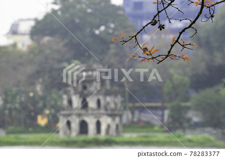 Branch of yellow leaves with Turtle Tower (Rua Tower) on the foundation of Ho Guom Lake, the center of Hanoi, beautiful scenery in the spring. Branch of yellow leaves with Turtle Tower (Rua Tower) on the foundation of Ho Guom Lake, the center of Hanoi, beautiful scenery in the spring. 78283377