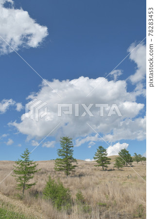 Kirigamine Plateau Suwa City, Nagano Prefecture 78283453