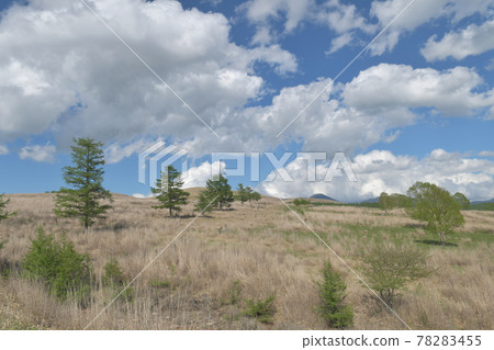 Kirigamine Plateau Suwa City, Nagano Prefecture Kirigamine Plateau Suwa City, Nagano Prefecture 78283455