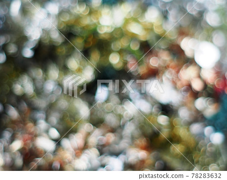 blur bokeh background from variety of colourful green plant yellow leaves and shiny sunlight environment in nature outdoor for relax mood backdrop and background 78283632