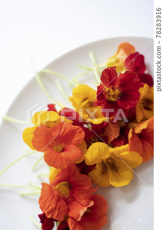 金蓮花食用花草本花卉食用花金蓮花 78283916