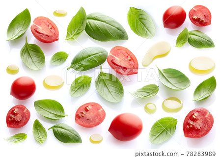 Basil leaves with tomatoes and olive oil Basil leaves with tomatoes and olive oil 78283989