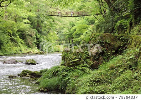 Kazura Bridge in Echizen Ikeda Town (Ikeda Town, Fukui Prefecture) 78284837