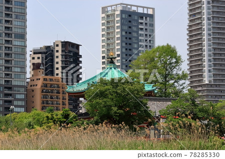 Landscape of Shinobazu Pond 78285330