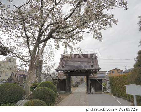 Nagareyama Akagiyama Komeiin, Nagareyama City, Chiba Prefecture Nagareyama Akagiyama Komeiin, Nagareyama City, Chiba Prefecture 78285729