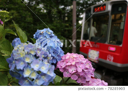 繡球山鐵路 繡球山鐵路 78285903