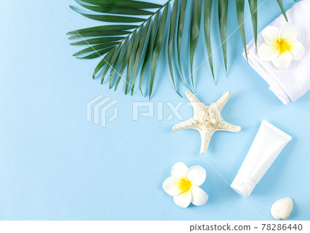 Blank plastic cosmetic tube palm leaf towel and sea shells top view Blank plastic cosmetic tube palm leaf towel and sea shells top view 78286440