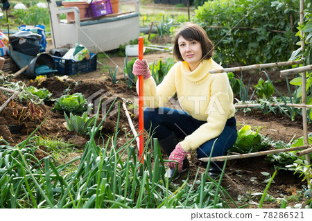 Female with hoe in the garden with cabbage and onion Female with hoe in the garden with cabbage and onion 78286521