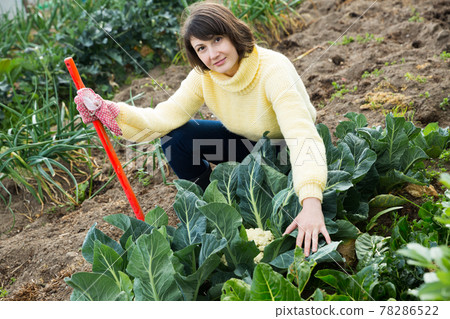 Woman working in garden 78286522