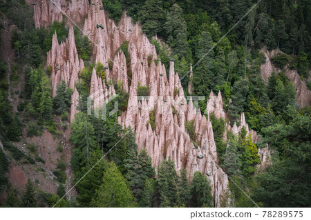 Natural phenomen of earth pyramids in Renon, South Tyrol, Italy 78289575