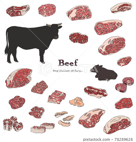 Wagyu beef illustration set-hand-drawn line drawing 78289628