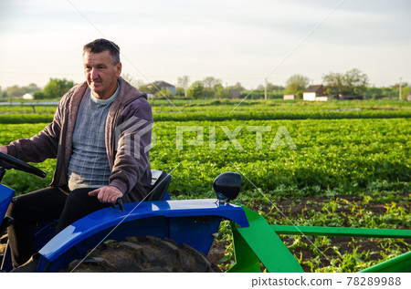 The farmer works in the field with a tractor. Harvesting crops campaign, earthworks. Agro industry, agribusiness. Countryside farmland. Farming, agriculture. Harvesting potatoes in early spring. The farmer works in the field with a tractor. Harvesting crops campaign, earthworks. Agro industry, agribusiness. Countryside farmland. Farming, agriculture. Harvesting potatoes in early spring. 78289988