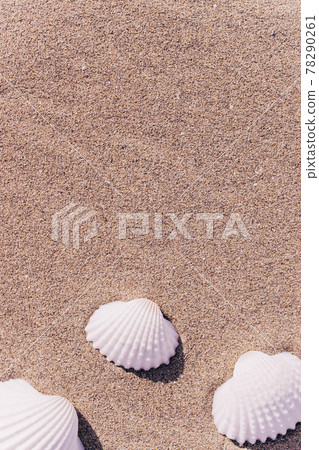 Summer concept background with seashells, shells on sand tropical sea beach. Design of summer vacation holiday concept. Summer concept background with seashells, shells on sand tropical sea beach. Design of summer vacation holiday concept. 78290261