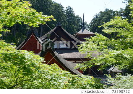 Chomeiji Temple Fresh Green Sangharama, Omihachiman City, Shiga Prefecture 78290732