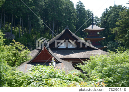 滋賀縣近江八幡市長明寺鮮綠僧伽羅 78290848