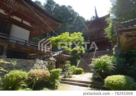 Chomeiji Main Hall and Mie Tower, Omihachiman City, Shiga Prefecture 78291009