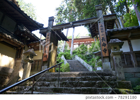 滋賀縣近江八幡市長明寺三門 滋賀縣近江八幡市長明寺三門 78291180