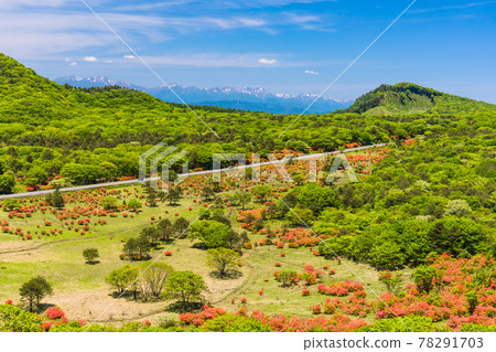 Tanigawa mountain range of remaining snow and azaleas in the swamp field Tanigawa mountain range of remaining snow and azaleas in the swamp field 78291703