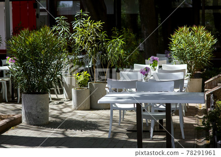 terrace street restaurant with white wooden chairs and tables with glass vase of flowers and concrete pots for green deciduous bushes on a sunny day with shadow, nobody. terrace street restaurant with white wooden chairs and tables with glass vase of flowers and concrete pots for green deciduous bushes on a sunny day with shadow, nobody. 78291961