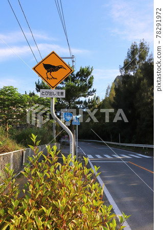 Okinawa Kunigami Village Animal Jumping Warning Road Sign (Okinawa Rail) Okinawa Kunigami Village Animal Jumping Warning Road Sign (Okinawa Rail) 78291972