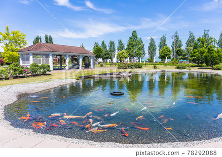池塘鯉魚和涼亭 78292088