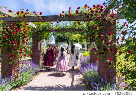 Rose pergola and lady 78292095