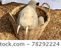 Steller sea lion stuffed animal that fits in a basket I met in the UK market 78292224