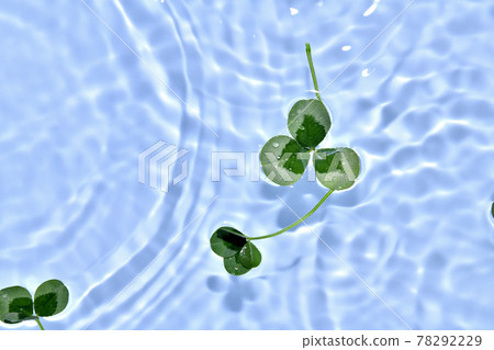Clover and ripples Clover and ripples 78292229