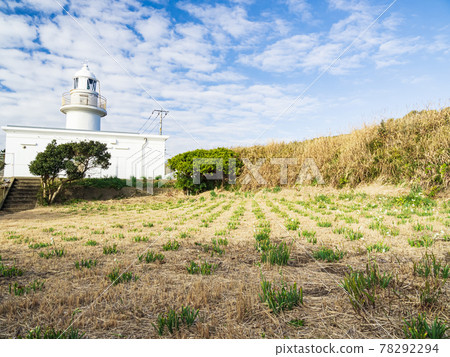 Winter scenery of Jogashima, Miura City, Kanagawa Prefecture, at the tip of the Shonan Miura Peninsula 78292294