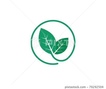 mint leaf illustration vector template 78292504