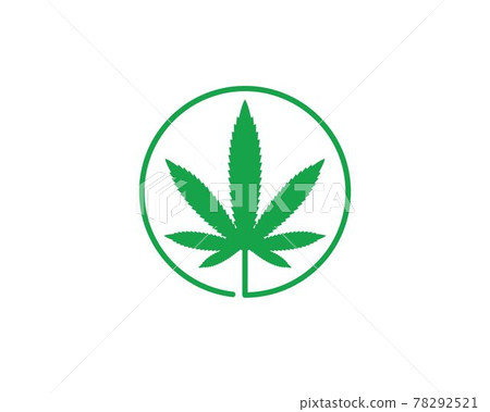 cannabis leaf vector icon illustration design 78292521