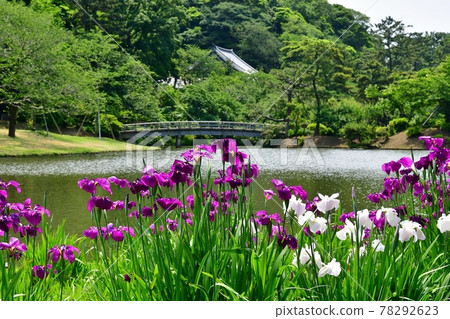 三溪 三溪 78292623