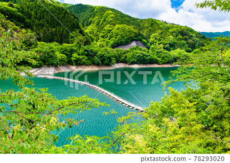 奧多摩町，東京奧多摩湖的鼓罐橋（Mugiyama 的浮橋） 78293020