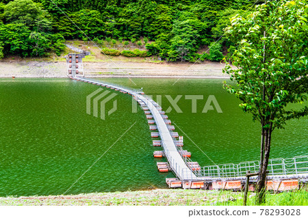 奧多摩町、東京鼓橋奧多摩湖（托目浦浮橋） 78293028