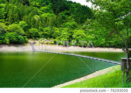 奧多摩町、東京鼓橋奧多摩湖（托目浦浮橋） 78293030