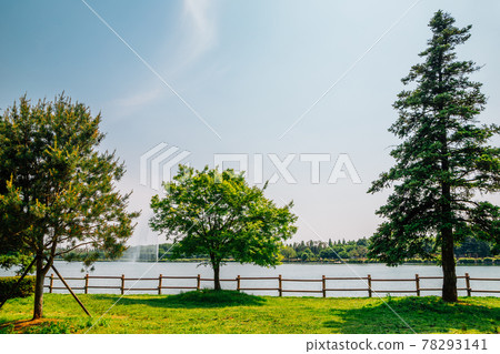 Ilsan Lake Park in Goyang, Korea 78293141