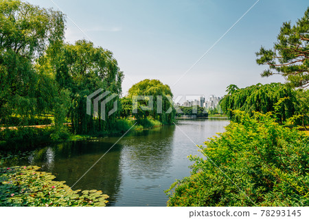 Ilsan Lake Park and modern buildings in Goyang, Korea 78293145