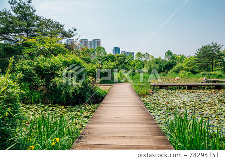 Ilsan Lake Park walkway in Goyang, Korea 78293151