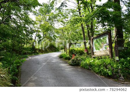 御殿場市、富士山、清廣園、Inno's熔岩隧道觀光路線和Fresh Green 御殿場市、富士山、清廣園、Inno's熔岩隧道觀光路線和Fresh Green 78294062