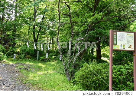 御殿場市、富士山、清廣園、Inno's熔岩隧道觀光路線、Easy Delivery Meotoiwa和Fresh Green 御殿場市、富士山、清廣園、Inno's熔岩隧道觀光路線、Easy Delivery Meotoiwa和Fresh Green 78294063