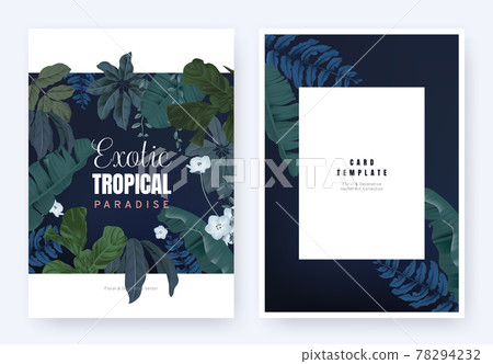 Floral invitation card template design, tropical plants and blue Nemophila flowers on dark blue 78294232