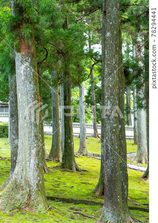 Ise-Shima Skyline: Post in the sky and surrounding scenery 78294441