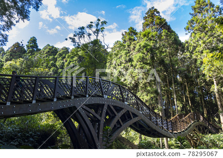 Huge steel bridge in the forest 78295067