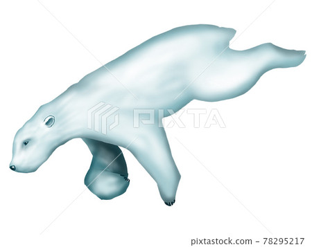 游泳北極熊 78295217