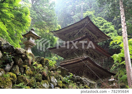 Shosoin Ryokaizan Yokokuraji Temple in Mino, 186 (Yokokura, Ibigawa-cho, Ibi-gun, Gifu Prefecture) Shosoin Ryokaizan Yokokuraji Temple in Mino, 186 (Yokokura, Ibigawa-cho, Ibi-gun, Gifu Prefecture) 78295684
